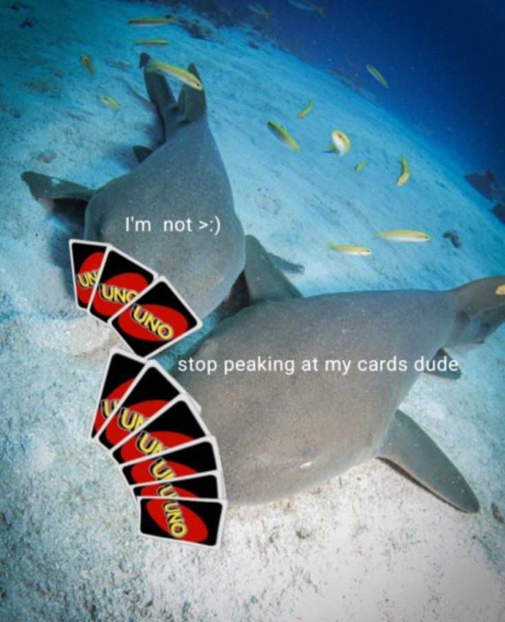 sharks playing uno >:3
