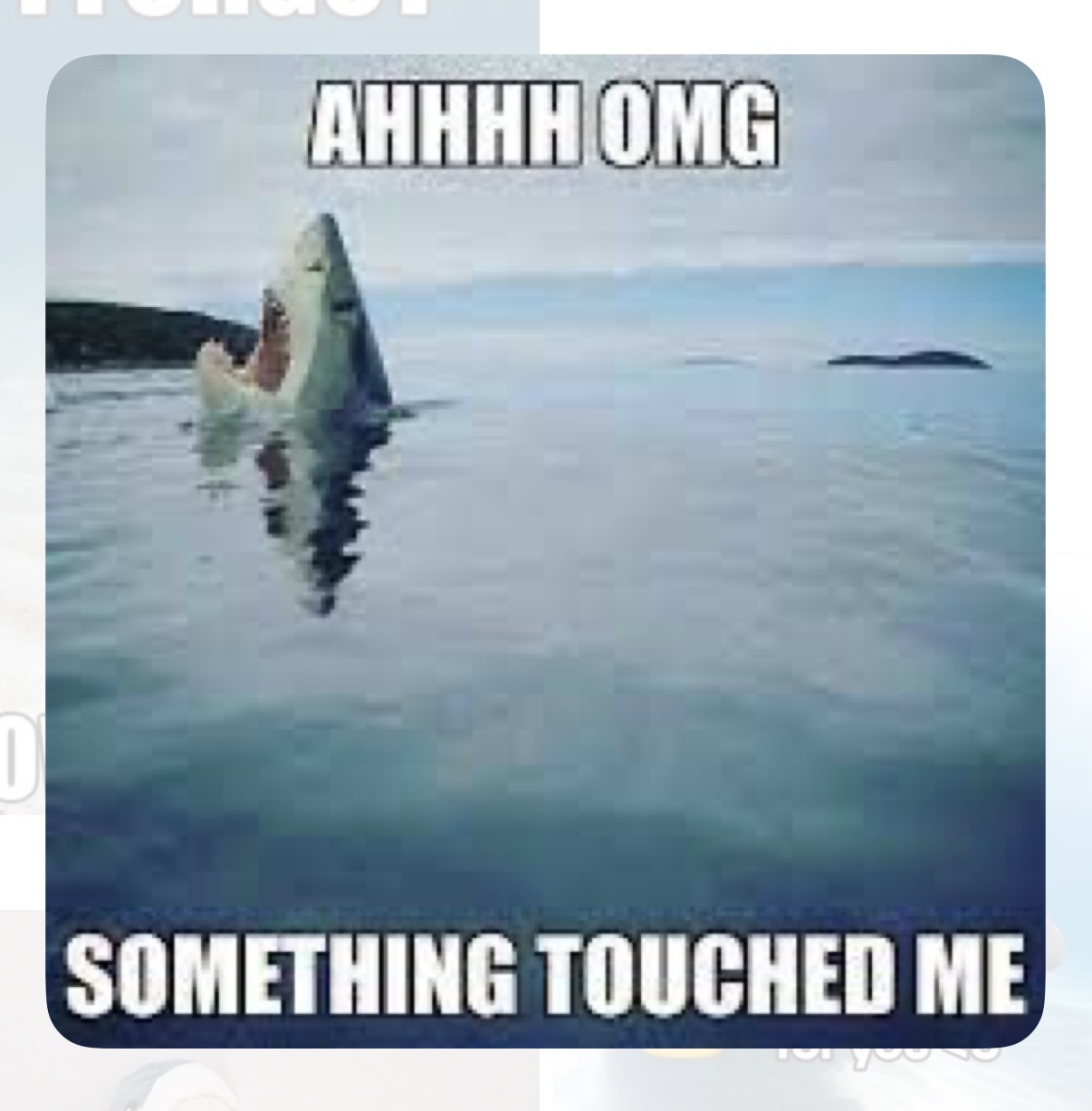 Shark meme